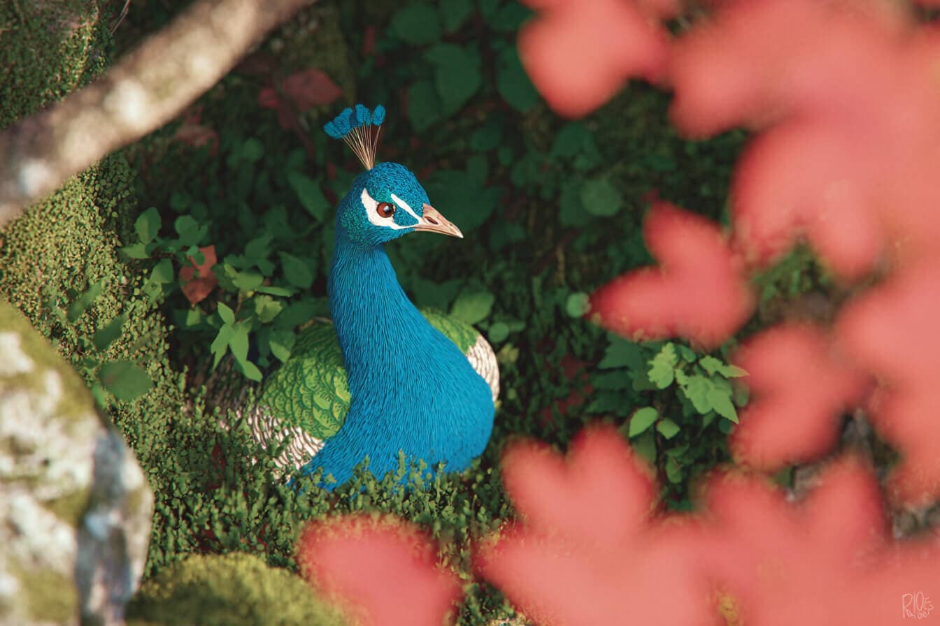 Peacock Bedtime Stories